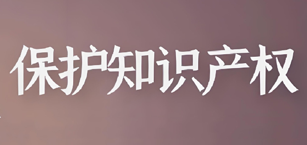 2025年知識產(chǎn)權(quán)行政保護(hù)工作方案